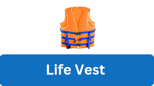 Life vest