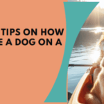 Safety tips on how to take a dog on a kayak