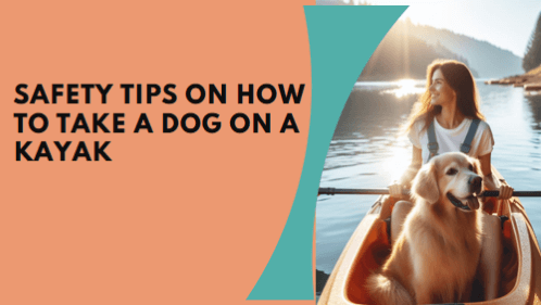 Safety Tips On How To Take A Dog On A Kayak