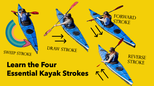 Learn the four essential kayak strokes