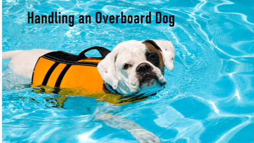 Handling an overboard dog