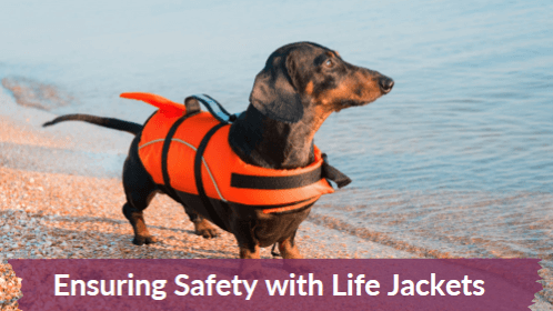 12 19 | kayaking info Ensuring safety with life jackets