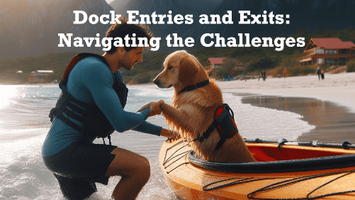 Dock entries and exits navigating the challenges