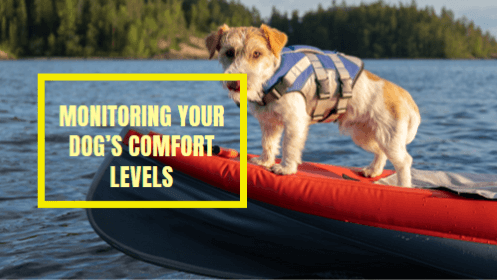 14 14 | kayaking info Monitoring your dogs comfort levels