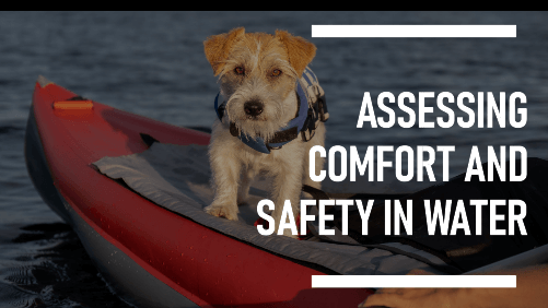 Assessing comfort and safety in water