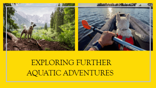 15 12 | kayaking info Exploring further aquatic adventures
