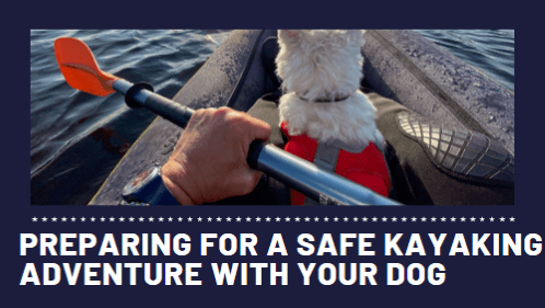 Preparing for a safe kayaking adventure with your dog