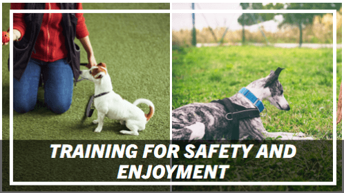 2 26 | kayaking info Training for safety and enjoyment