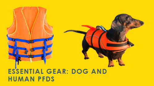 Essential gear dog and human pfds 