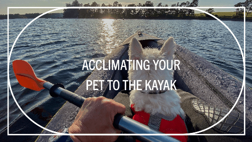 How To Choose The Right Kayak For Your Pet | Kayaking Info