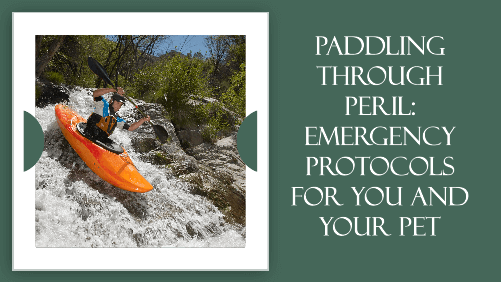 Paddling through peril emergency protocols for you and your pet