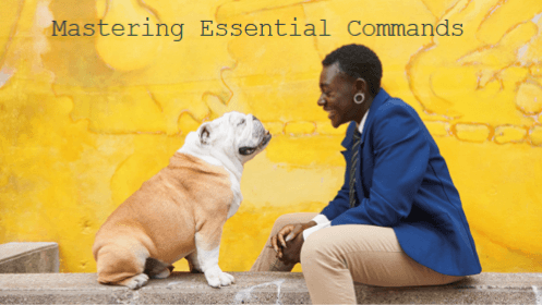 5 25 | kayaking info Mastering essential commands