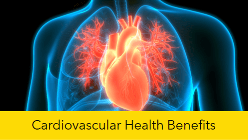 6 26 | kayaking info Cardiovascular health benefits