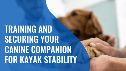 Training and securing your canine companion for kayak stability