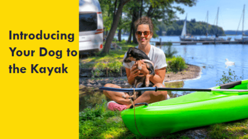 8 22 | kayaking info Introducing your dog to the kayak