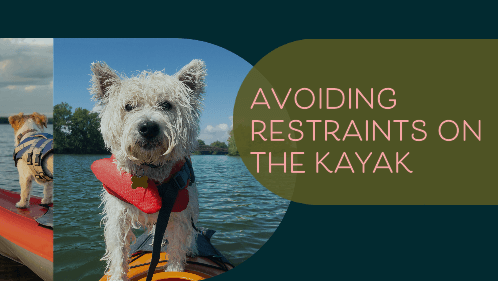 Kayaking with Your Dog: How to Train for Exciting Adventures