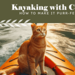 Kayaking with cats how to make it purr fect