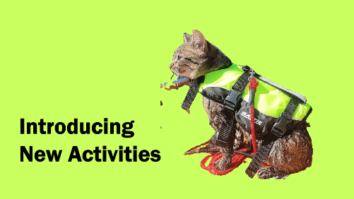 16 6 | kayaking info Introducing new activities