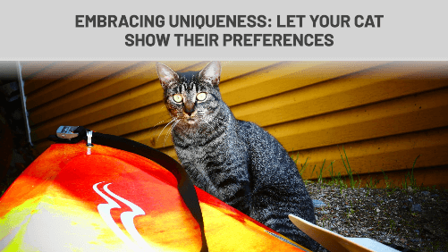 2 33 | kayaking info Embracing uniqueness let your cat show their preferences