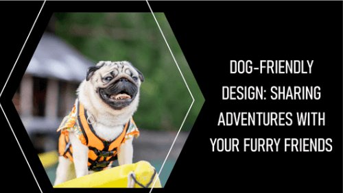 Dog friendly design sharing adventures with your furry friends