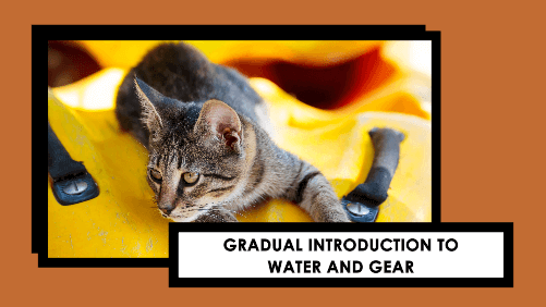 4 33 | kayaking info Gradual introduction to water and gear