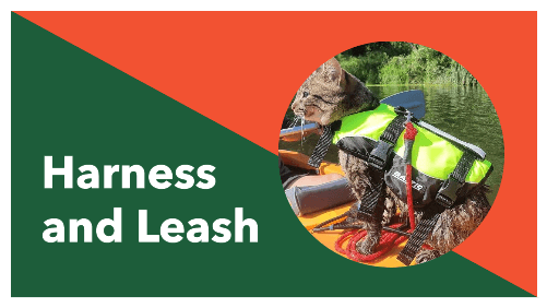 8 29 | kayaking info Harness and leash