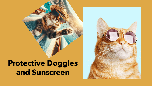 9 29 | kayaking info Protective doggles and sunscreen
