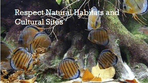 Respect natural habitats and cultural sites