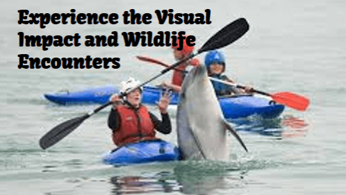 Experience the visual impact and wildlife encounters