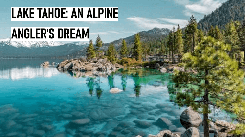 Lake tahoe an alpine angler's Dream