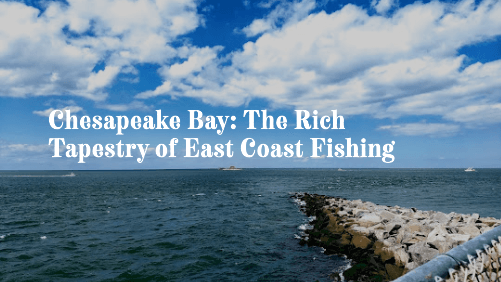 Chesapeake bay the rich tapestry of east coast fishing