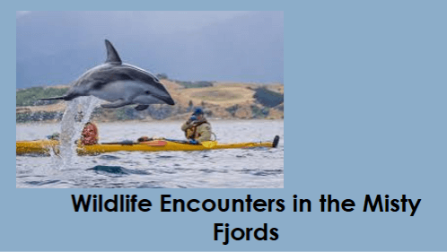 Wildlife encounters in the misty fjords