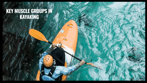 2 79 | kayaking info Key muscle groups in kayaking