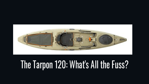 3 84 | kayaking info The tarpon what's All the Fuss?