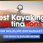 Best kayaking destinations for wildlife enthusiasts top spots to explore nature