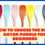 How to choose the right kayak paddle for beginners