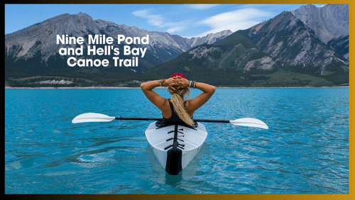 Exploring the trails nine mile pond and hell's Bay Canoe Trail