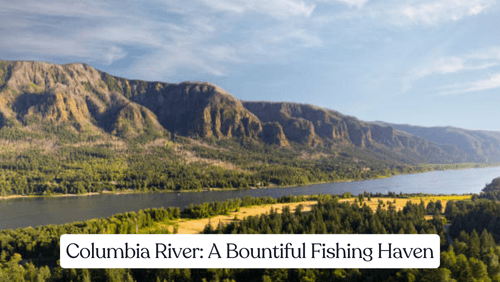 Columbia river a bountiful fishing haven