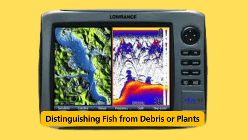 Distinguishing fish from debris or plants