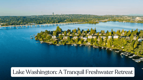 Lake washington a tranquil freshwater retreat