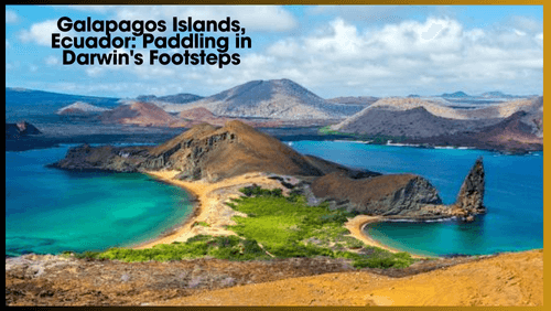 Galapagos islands ecuador paddling in darwin's Footsteps