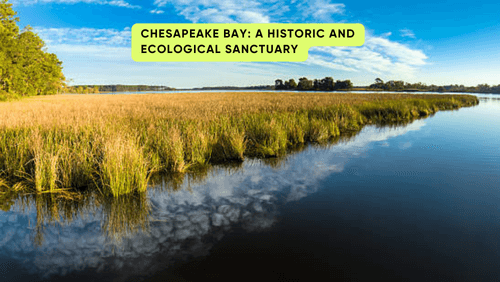8 89 | kayaking info Chesapeake bay a historic and ecological sanctuary